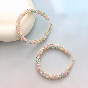 Wholesale Colorful Sequin Earrings Spring/Summer Plastic Earrings