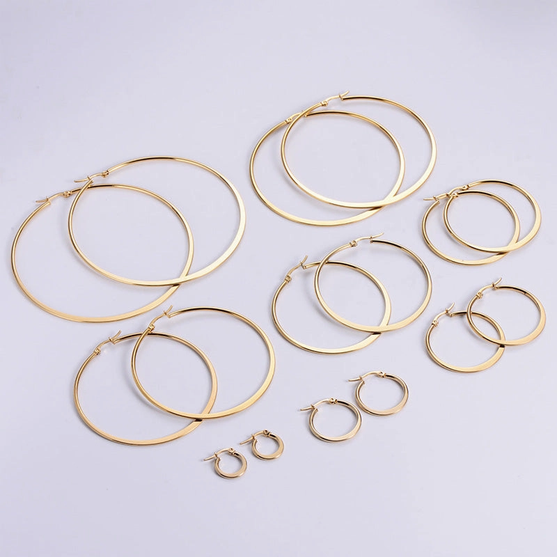 Wholesale Earrings Stainless Steel Simple OLY-ES-AIMILUO005