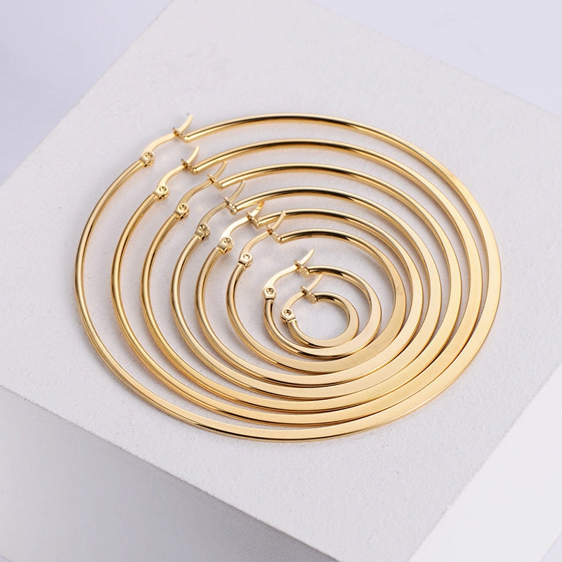 Wholesale Earrings Stainless Steel Simple OLY-ES-AIMILUO005