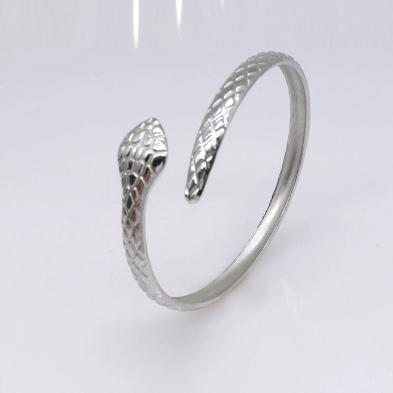 Wholesale Open Serpentine Zodiac Couple Stainless Steel Titanium Steel Bracelet