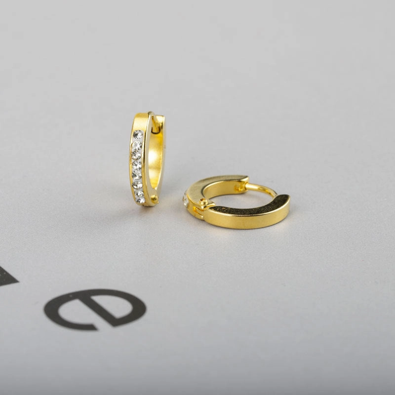 Wholesale Round Stainless Steel Micro Diamond Titanium Steel Earrings