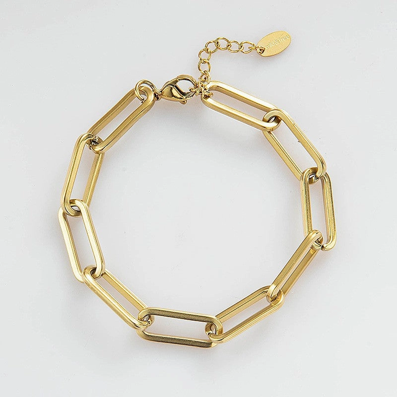 Wholesale Snake Bone Chain Titanium Steel Bracelet