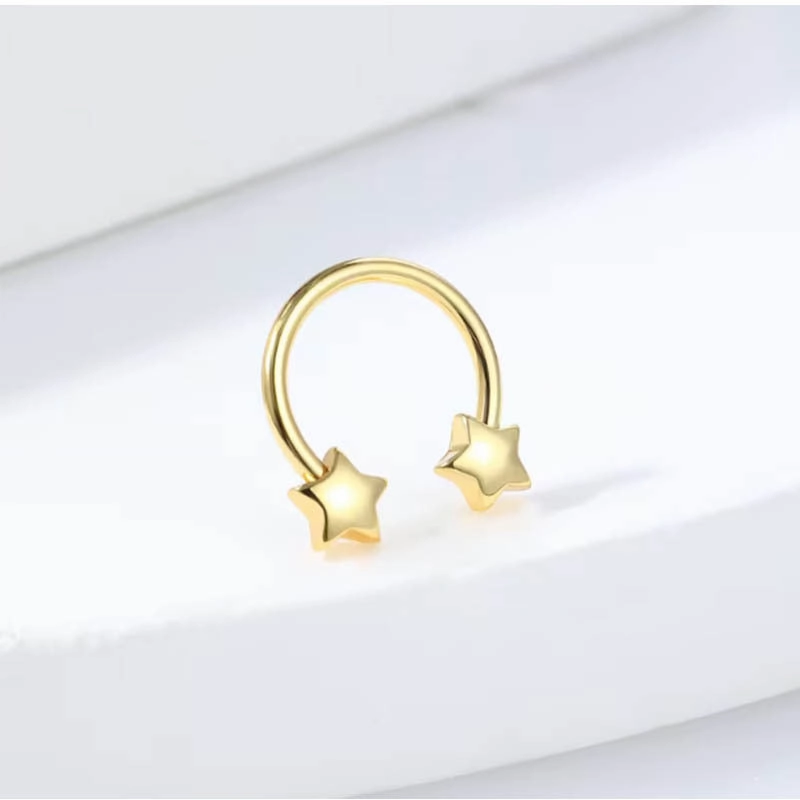 Wholesale Stainless Steel Star Cool Earrings