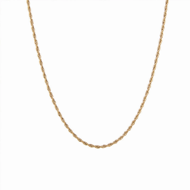 Wholesale Titanium Steel Gypsophila Petals Twist Chain Snake Bone Chain Necklace