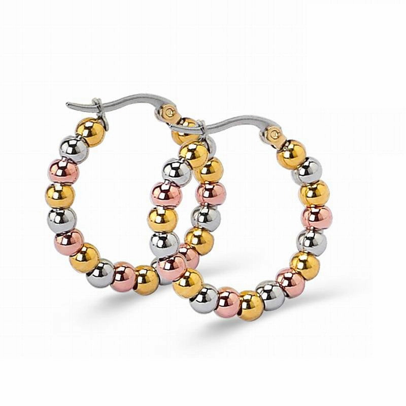 Wholesale Titanium Steel Stainless Steel Color Earrings