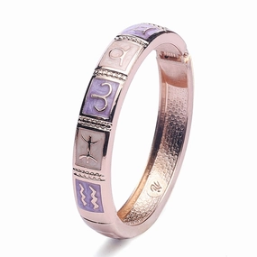 Wholesale Twelve Constellations Enamel Oil Drip Opening Zinc Alloy Bracelet
