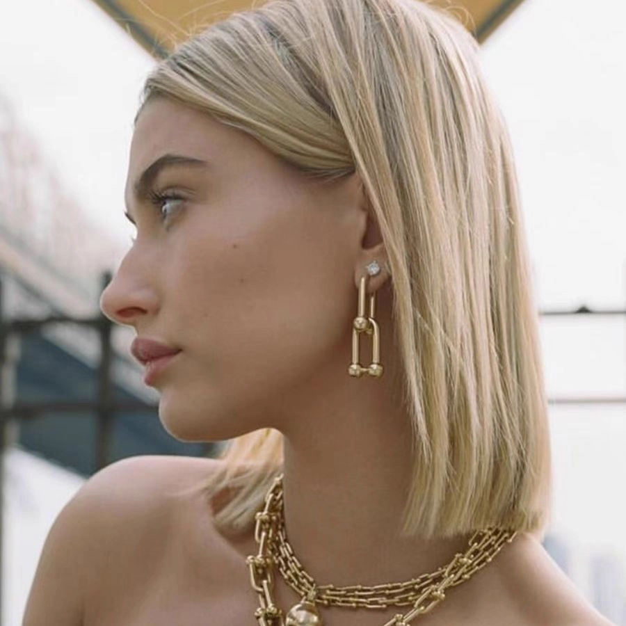Wholesale U Shaped Horseshoe Chain Earrings